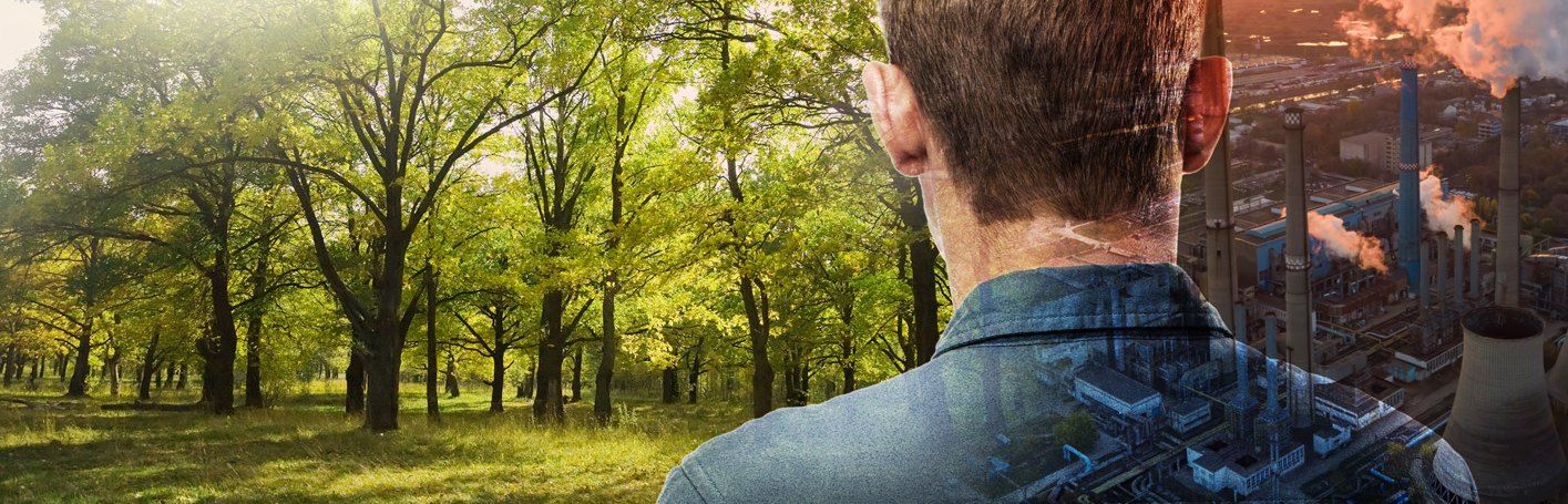 Forest and industrial plant — nature and technology connected