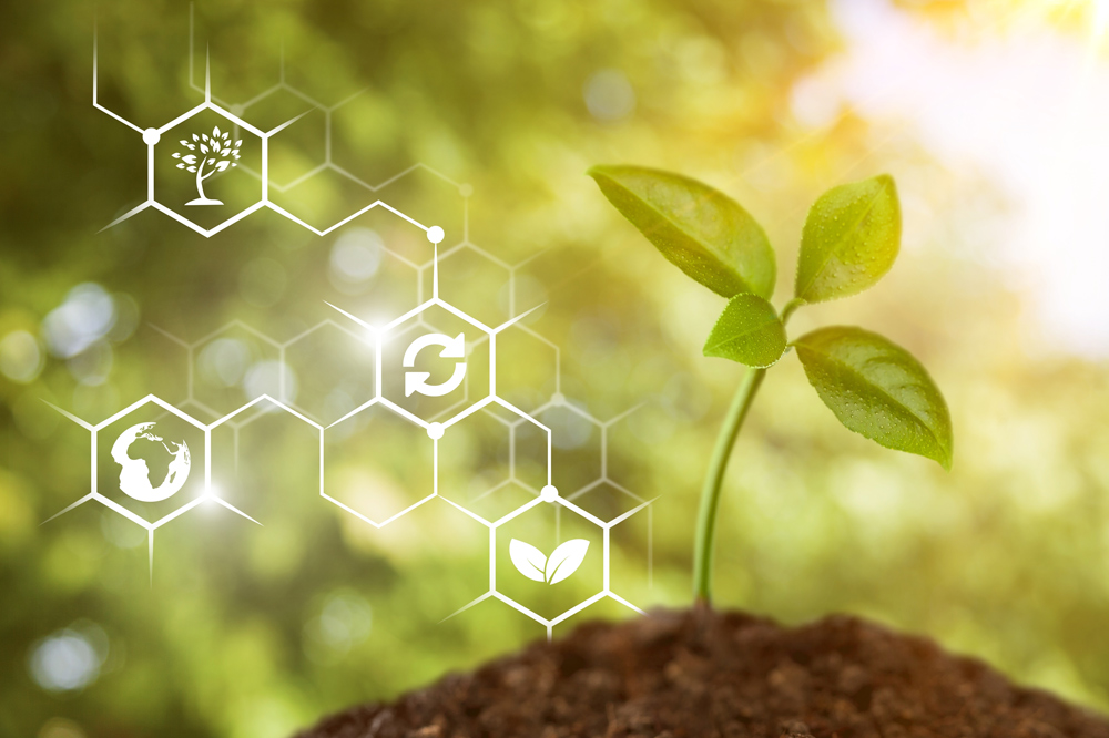 Energieeffizienz-Umwelt-Ressourcenschonung-Smart-City