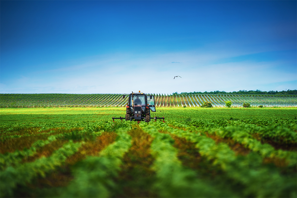 Smart-Farming-Bodenuntersuchung